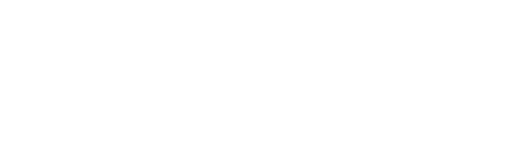 SHT Suhler Hebezeugtechnik GmbH company logo